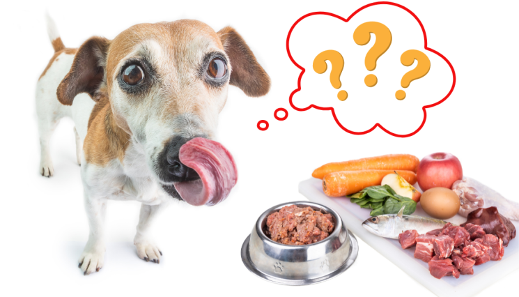 Thức ăn cho chó trưởng thành phải chứa tối thiểu 18% protein thô