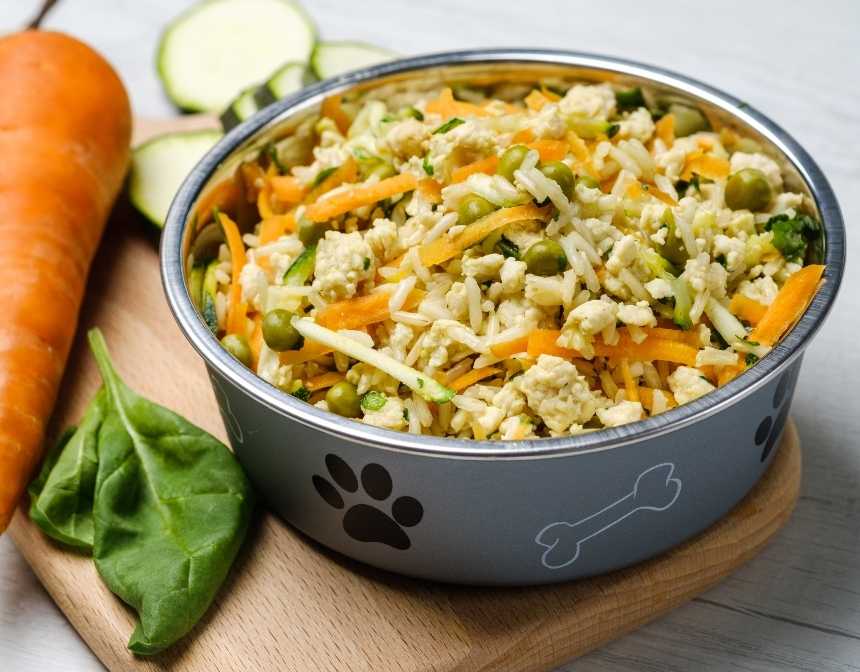 3 công thức nấu pate tươi cho mèo bầu thơm ngon, bổ dưỡng 5 Pate trứng gà cà rốt