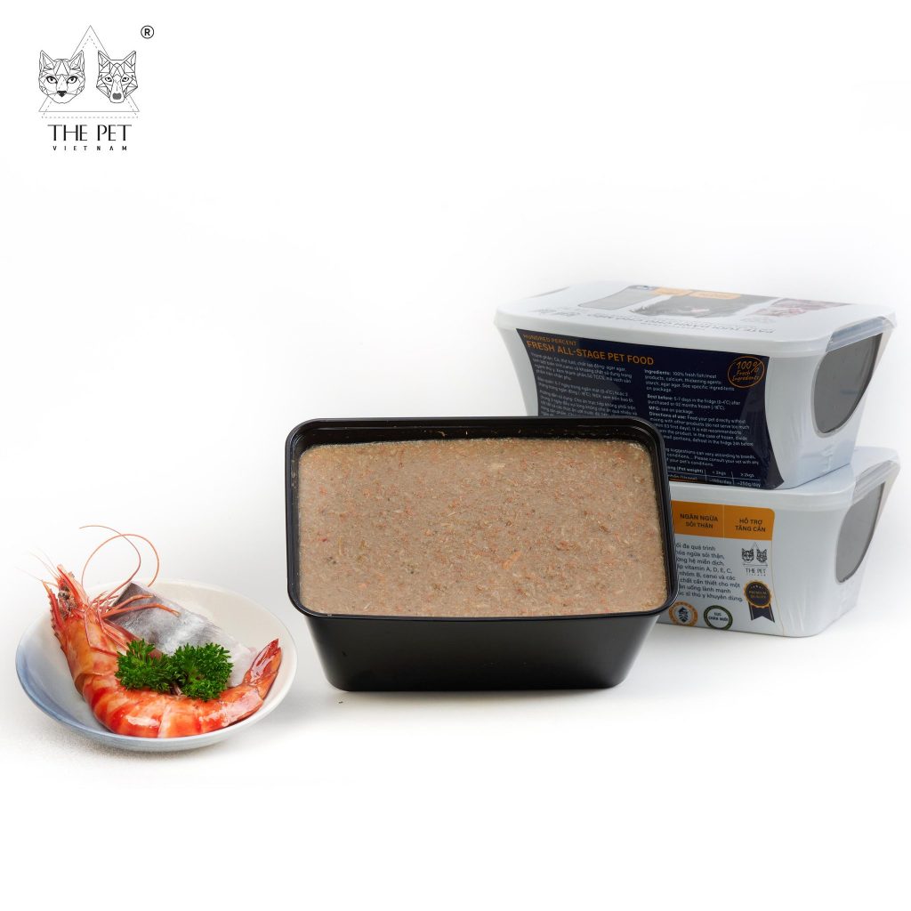 340649763 751724346364246 3564075080775093583 n