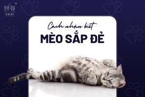 344206466 152756110887342 1563904924664969316 n