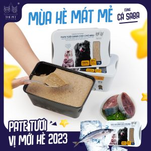 Lạc lối thiên đường tươi mát, “phiêu lưu” mùa hè với pate cá saba