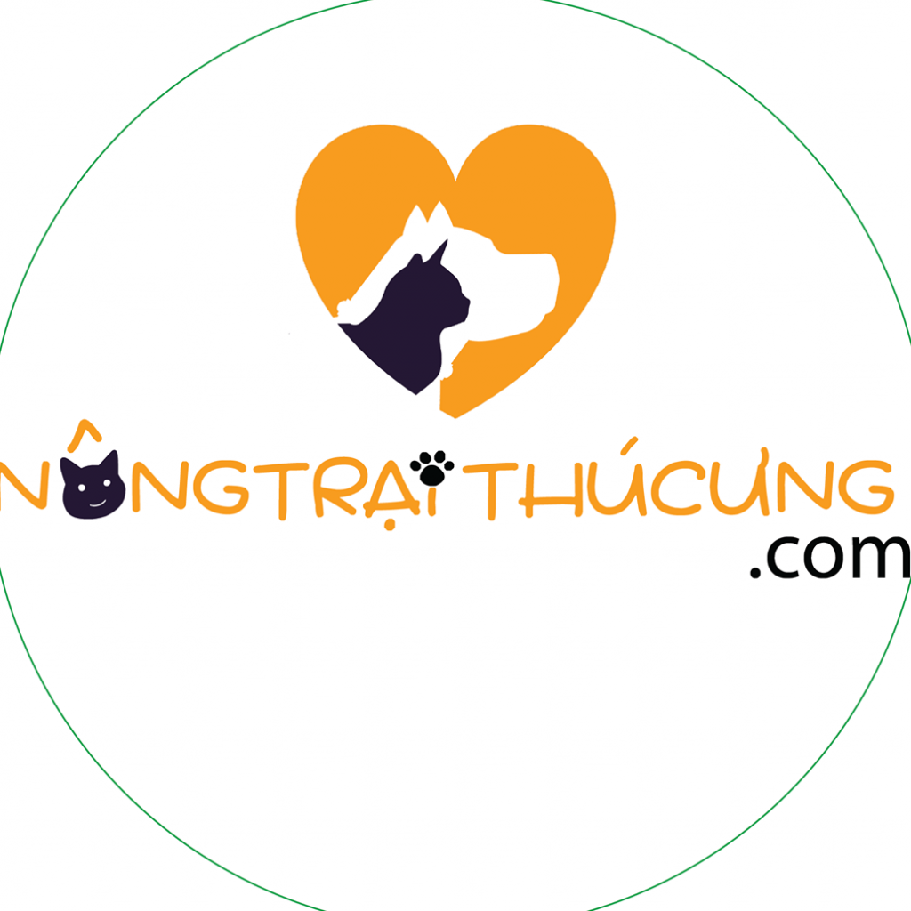 Trang Chủ 776 304946371 547758310482719 7001484455401726778 n
