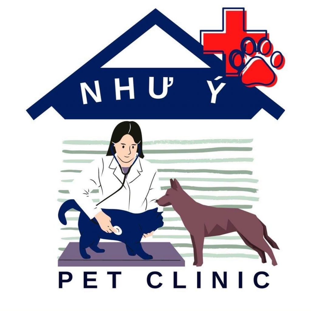 Trang Chủ 810 320861327 528435639226968 8356574526697160303 n