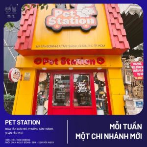 Chuyên mục mỗi tuần một chi nhánh mới The Pet Vietnam