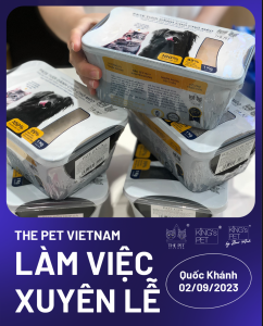 370718733 666536851810825 4499467074753201789 n