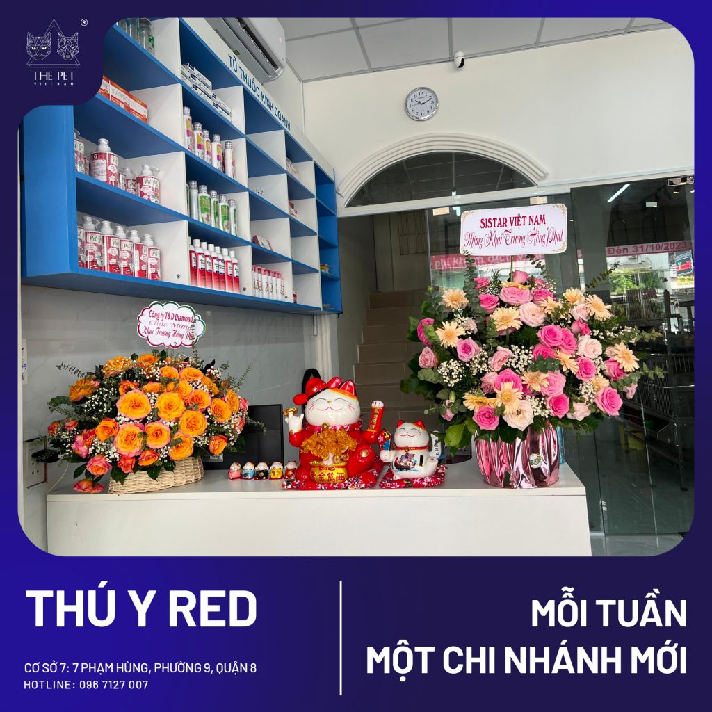 386309541 324020563648588 2105019434461719860 n