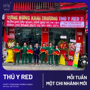 386313713 324020603648584 4532111178916863215 n