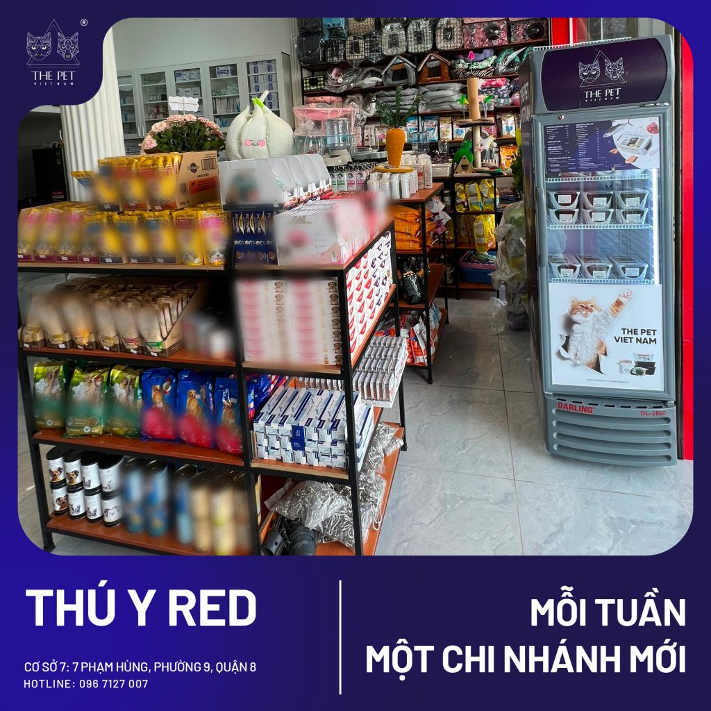 386322417 324020593648585 5965632838155278445 n