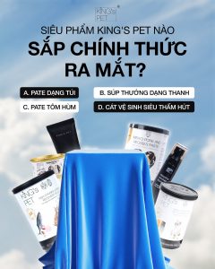 393131294 817248100408475 6721982488310338388 n