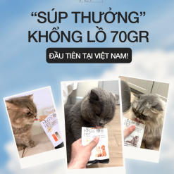Pate Hỗn Hợp Cá King’s Pet Túi 70gr Thức Ăn Cho Chó Mèo (lốc 12 túi) 2 Artboard 1 copy 3