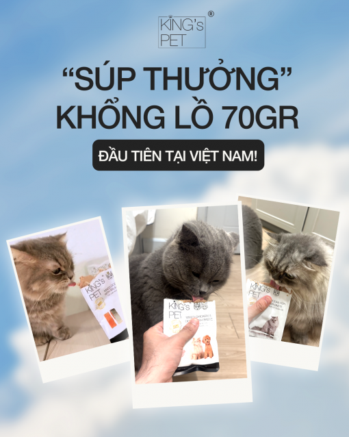 Artboard 1 copy 3 Artboard 1 copy 3