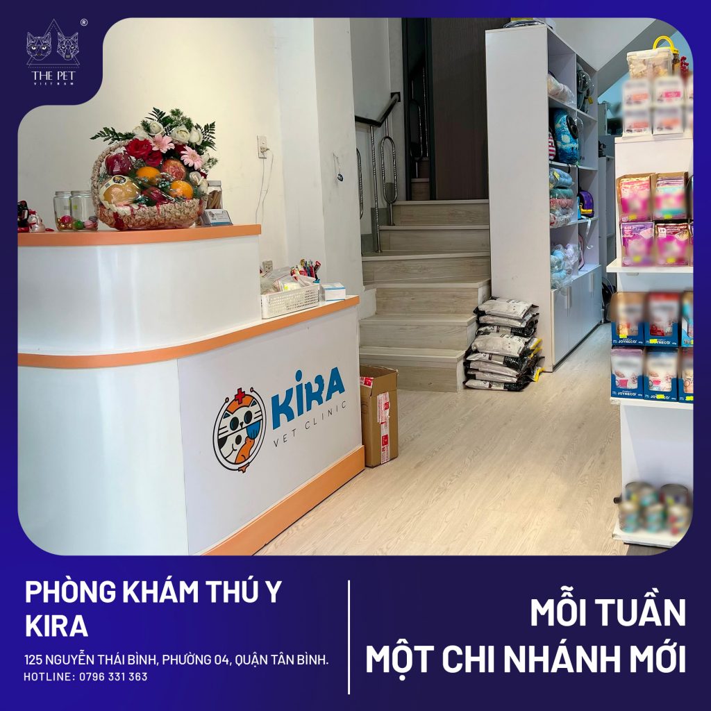 THÔNG BÁO THAY ĐỔI ĐỊA ĐIỂM PHÒNG KHÁM THÚ Y KIRA VET CLINIC 2 KIRA