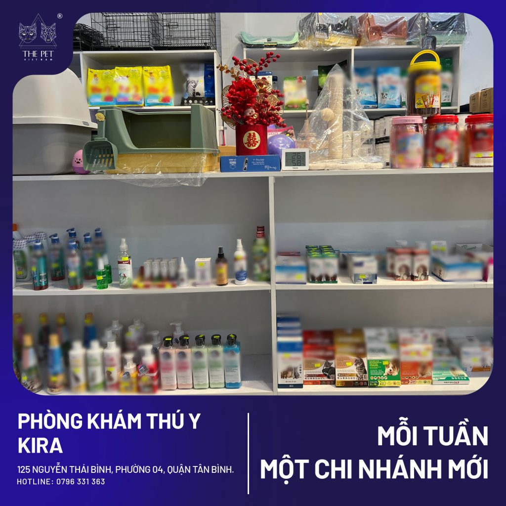 THÔNG BÁO THAY ĐỔI ĐỊA ĐIỂM PHÒNG KHÁM THÚ Y KIRA VET CLINIC 4 KIRA3