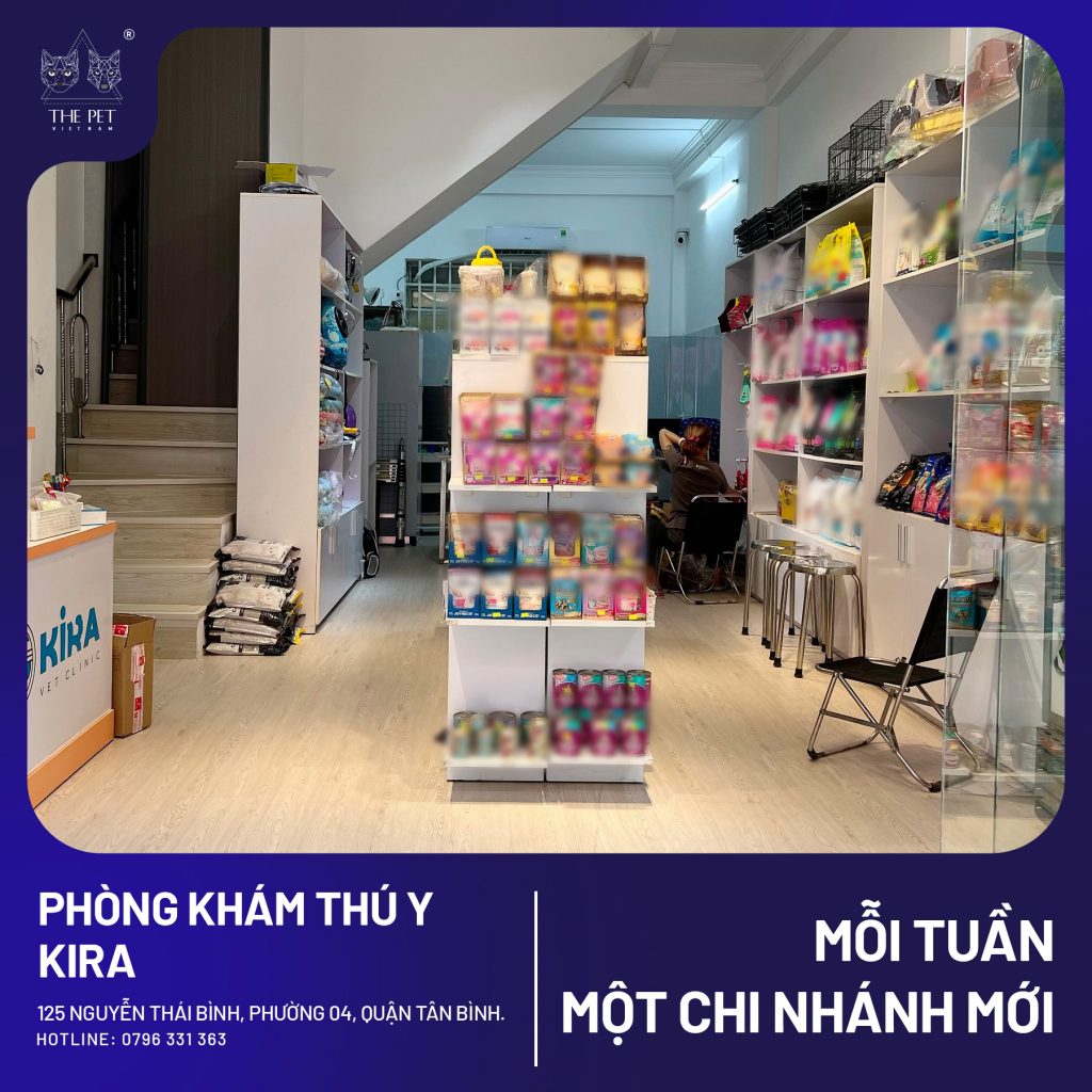 THÔNG BÁO THAY ĐỔI ĐỊA ĐIỂM PHÒNG KHÁM THÚ Y KIRA VET CLINIC 5 KIRA4