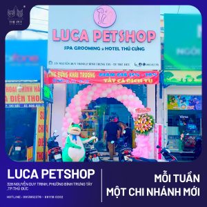 LUCA PETSHOP2