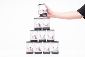 Mua sỉ thức ăn chó mèo tại King’s Pet - Bệ phóng vững chắc cho người mới bắt đầu