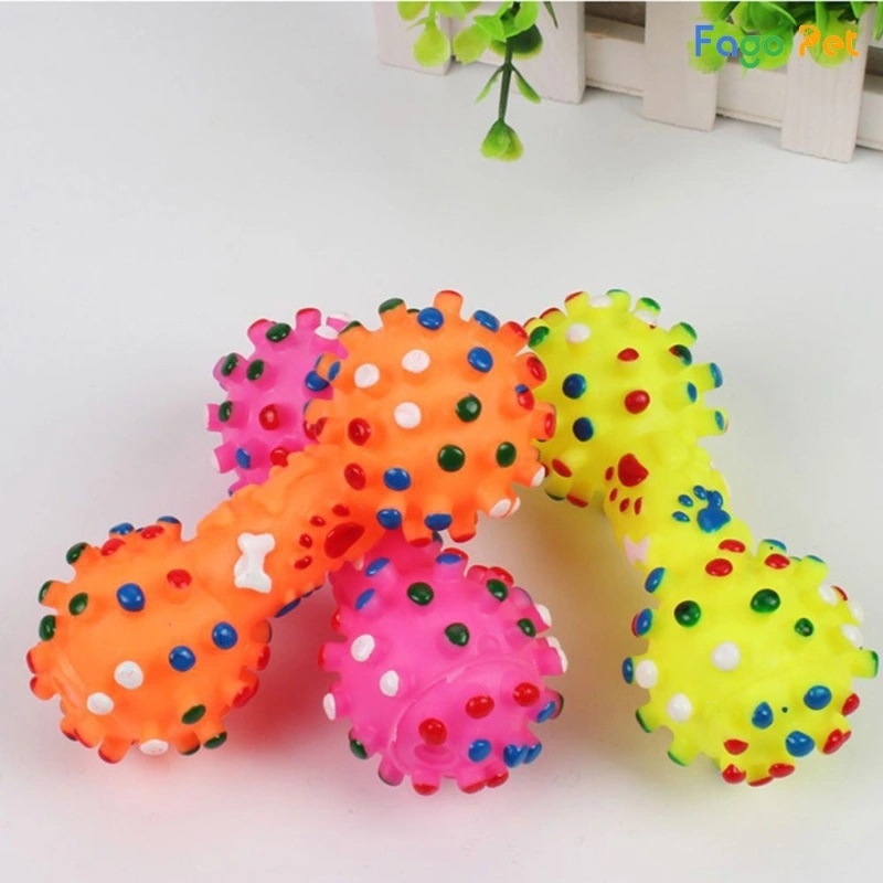 Tại sao chó bị ngứa răng?