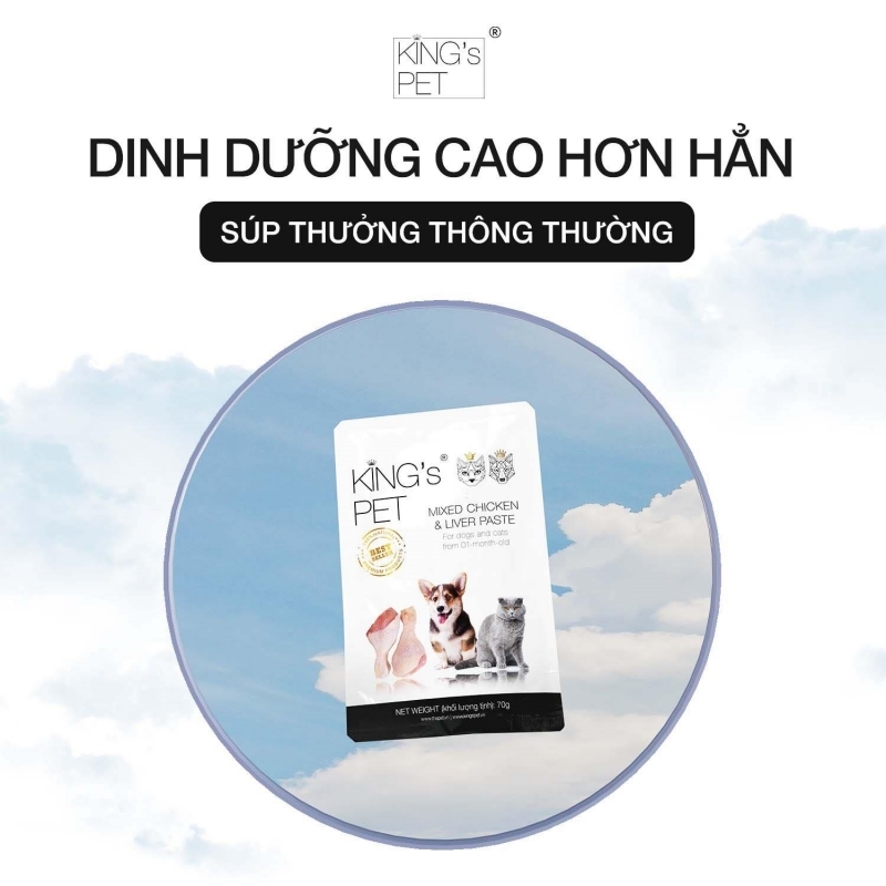 Mèo đi phân lỏng là dấu hiệu của vấn đề sức khỏe nào? 4 meo di phan long 05 1