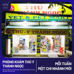 411884927 366553326061978 6784743564850530574 n