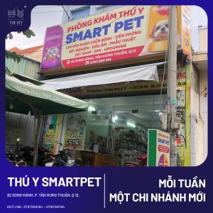 THÚ Y SMART PET4