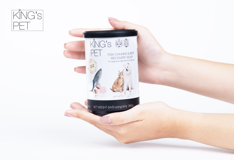 Cách chăm sóc hiệu quả cho chó bị đau chân mà Sen cần phải biết 1 Chó bị đau chân do những nguyên nhân nào?