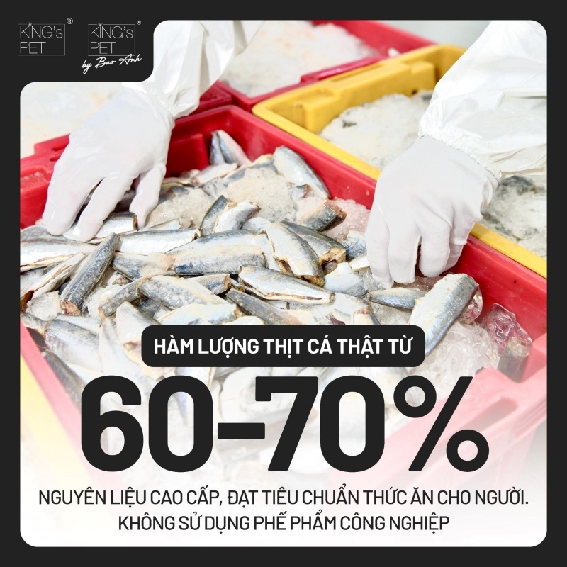 ky-sinh-trung-mau-o-cho-01