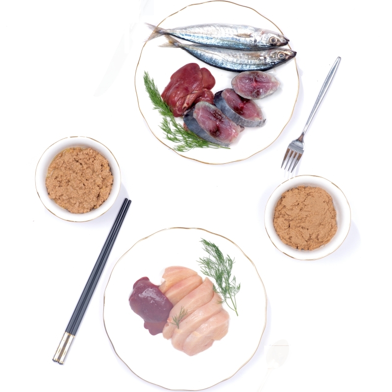 Mèo ăn chay được không?