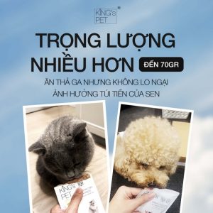 Mèo bị táo bón thì cần có chế độ ăn uống như thế nào?