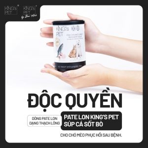 7 thiết bị công nghệ giúp việc nuôi mèo trở nên dễ dàng