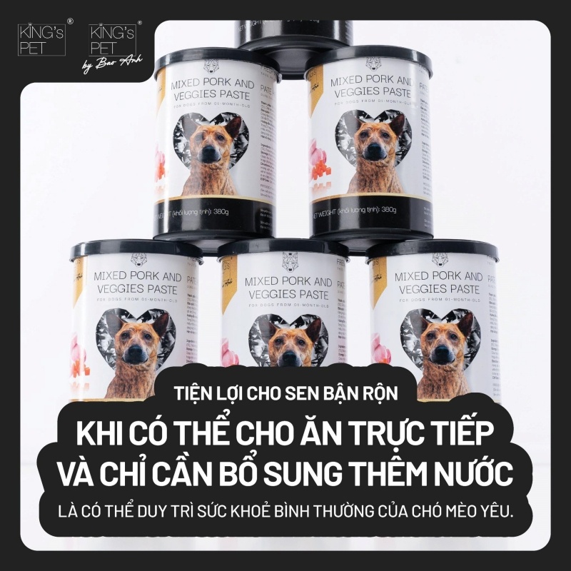 Chọn pate cho chó bệnh thận cần lưu ý những điều gì? 1 5 yếu tố mà Sen cần lưu ý để chọn pate cho chó bệnh thận