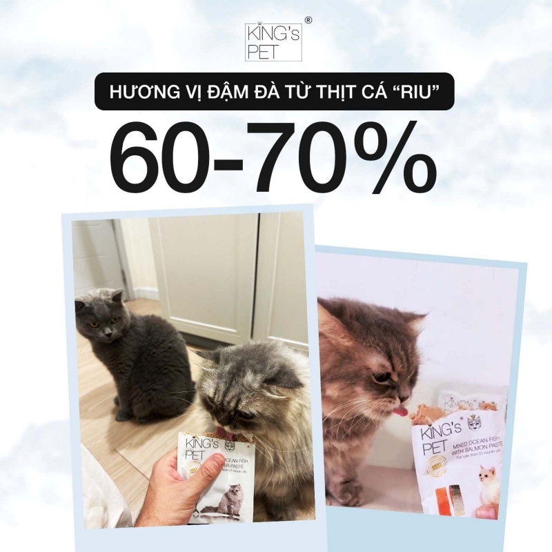 Chọn pate cho mèo bệnh thận như thế nào?