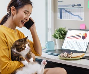 Muốn bứt phá doanh thu - Lưu ngay nguồn sỉ thức ăn cho mèo này