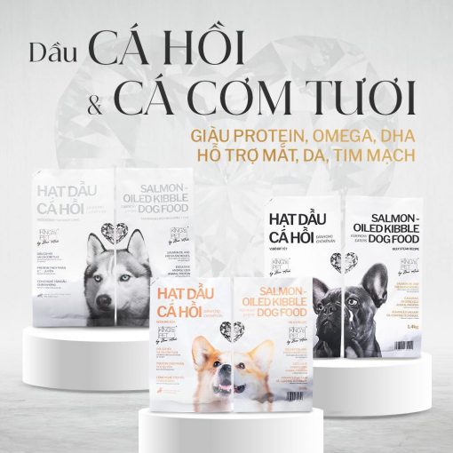 418488629_878838154249469_4945682613897251389_n 418488629 878838154249469 4945682613897251389 n