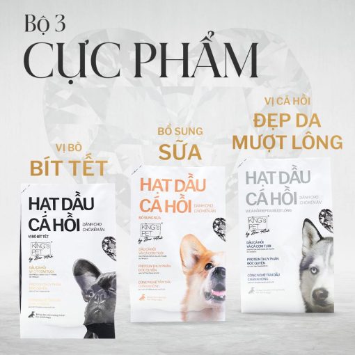 419129412_878838240916127_2628319762443851_n 419129412 878838240916127 2628319762443851 n