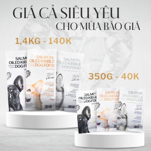 419138532_878838237582794_4510786962500060414_n 419138532 878838237582794 4510786962500060414 n