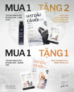 420785102 384857647564879 6322187863530204316 n