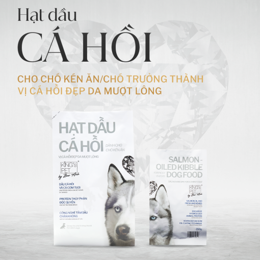 Artboard-1-copy-6 Artboard 1 copy 6