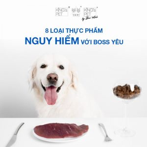 8 loại thực phẩm nguy hiểm, không được có trong đồ ăn cho chó