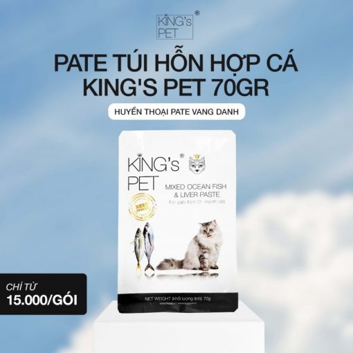 meo-bi-chay-mau-o-hau-mon-03 Nguyên nhân khiến mèo bị chảy máu ở hậu môn