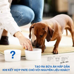 Kết hợp pate chó với thực phẩm khác để tạo ra bữa ăn hấp dẫn?