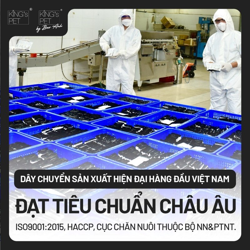 Vai trò của chất béo trong pate đối với sức khỏe của chó 3 Nhu cầu về chất béo của chó cưng trong thức ăn pate chó