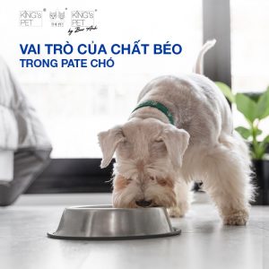 Vai trò của chất béo trong pate đối với sức khỏe của chó