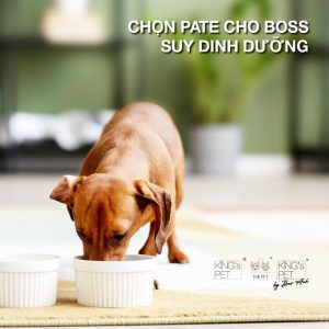 Tại sao pate có thể giúp ngăn ngừa chó bị suy dinh dưỡng?