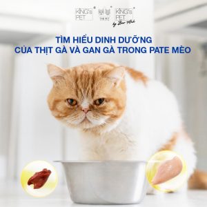 Tìm hiểu dinh dưỡng của thịt gà và gan gà trong pate mèo
