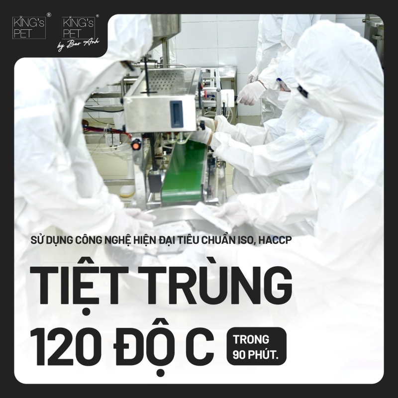 Mèo bị suy dinh dưỡng thì nên chọn pate như thế nào? 2 Tại sao pate mèo là lựa chọn tốt cho mèo suy dinh dưỡng?