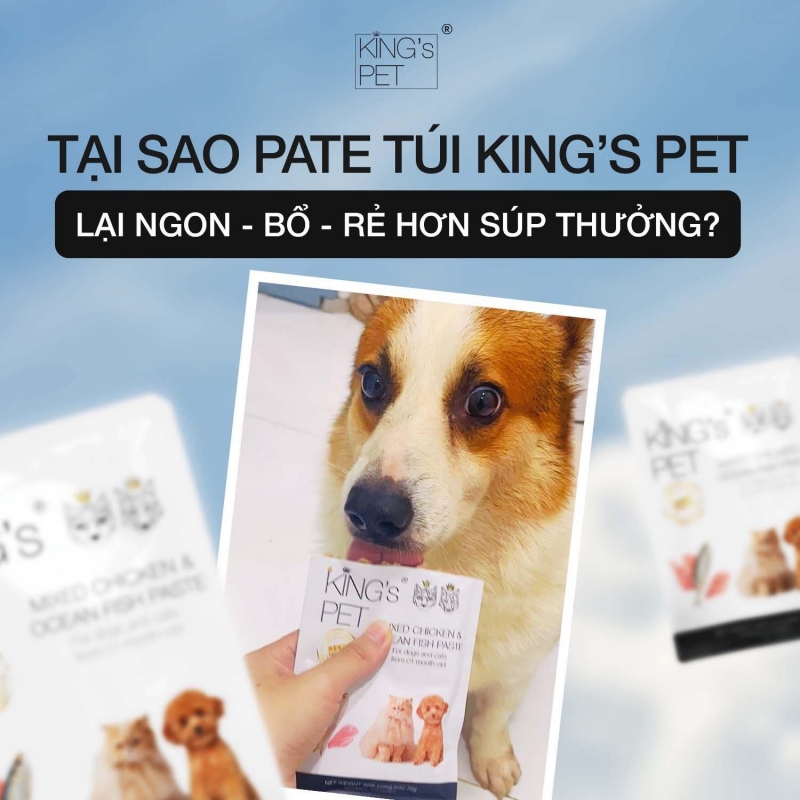 Giải đáp thắc mắc: Chó có ăn được súp thưởng cho mèo không? 1 Chó có ăn được súp thưởng cho mèo không?