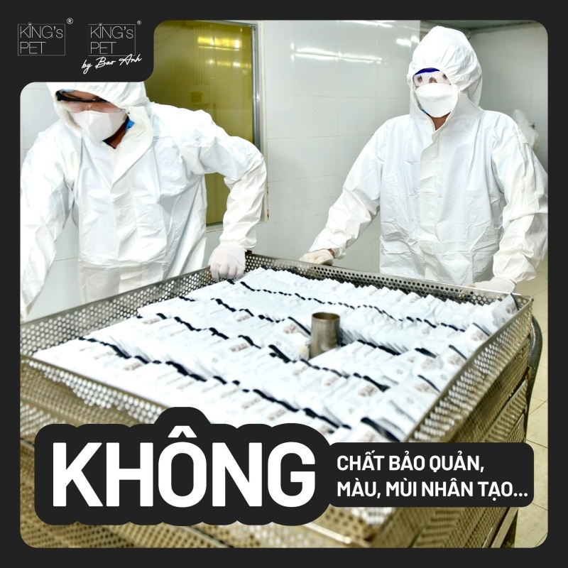 Chi tiết về 7 loại bệnh của vacxin 7 bệnh cho chó