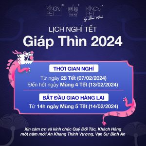 z5038713037224 795900466e6e176a2e08f41adcbb4000