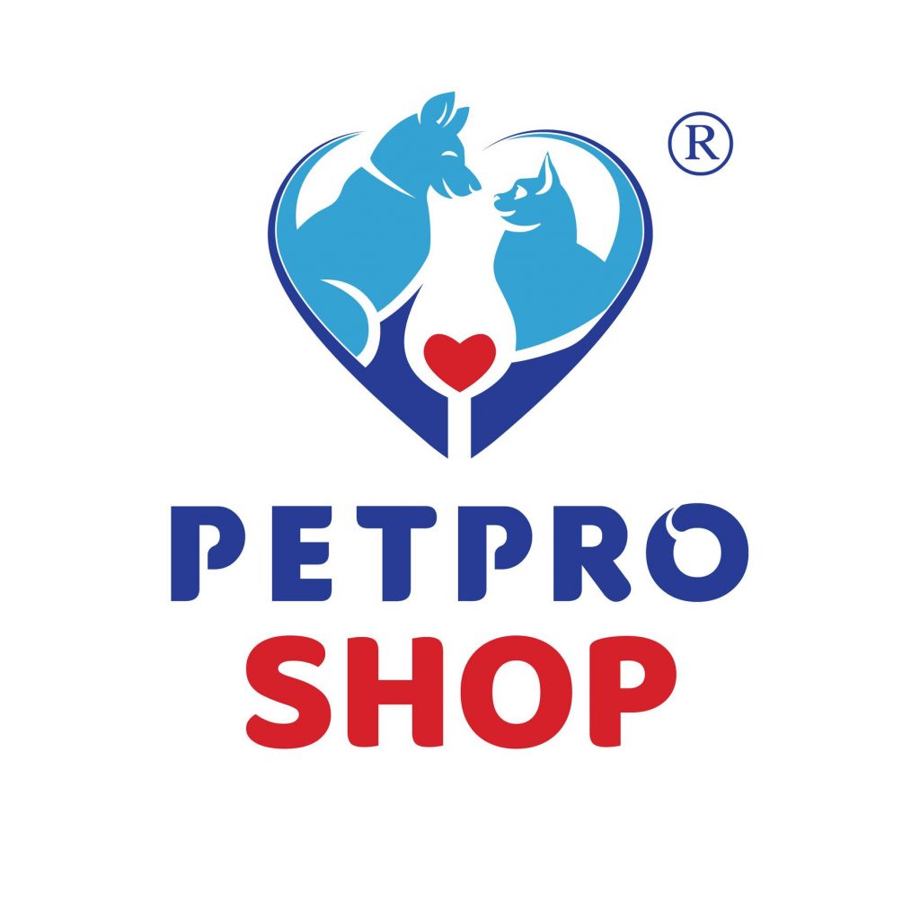 Trang Chủ 821 281989439 177320997986195 5127495414648295216 n