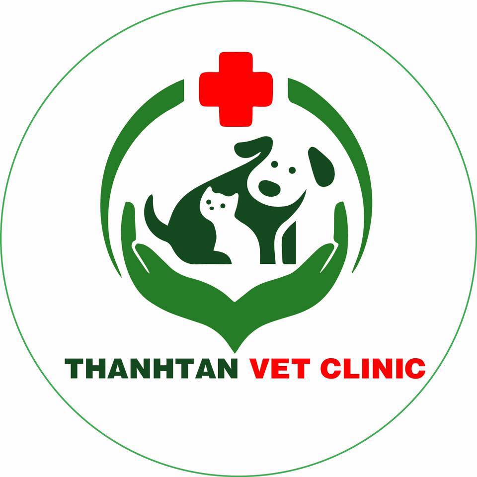 Trang Chủ 823 304207451 503601291769041 4692734012391573665 n
